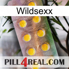 Wildsexx new11